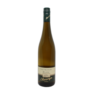 Sauvignon Blanc "Nussdorfer Traisental DAC Herzinger